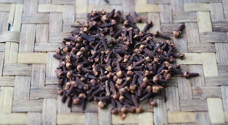 Tiny Treasures: Cloves in Early Modern English Literature
