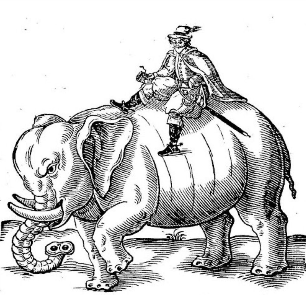 coryate elephant