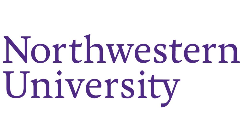 Assistant Professor, Department of Art History, Northwestern University
